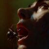 Sting - Aranha Assassina