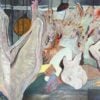 "Meat Shop" (triptych), Ho Wing Wa, Ernest, Acrylic on canvas, 100 x 240 cm, 2024