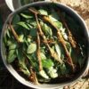 Ayahuasca