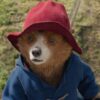 Paddington na Amazónia