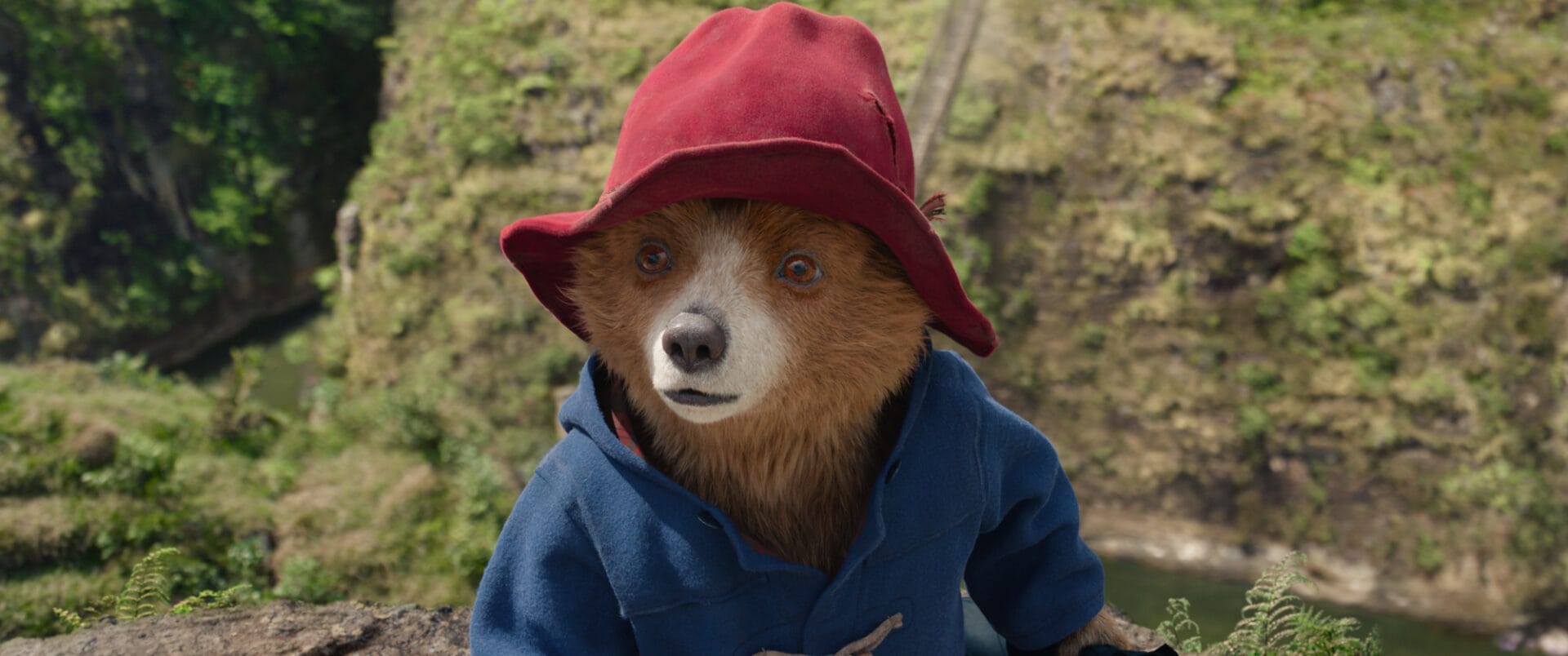 Paddington na Amazónia