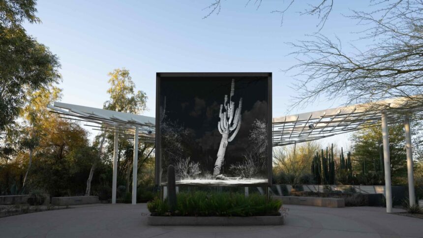 ScanLAB Projects, FRAMERATE: Desert Pulse