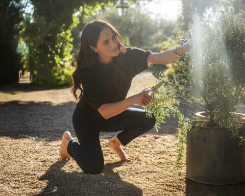 Com Amor, Meghan